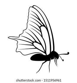 Butterfly logo design vector. Butterfly logo template illustration