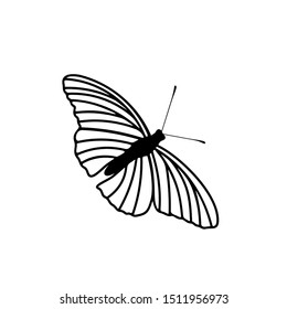 Butterfly logo design vector. Butterfly logo template illustration
