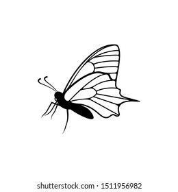 Butterfly logo design vector. Butterfly logo template illustration