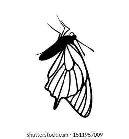 Butterfly logo design vector. Butterfly logo template illustration