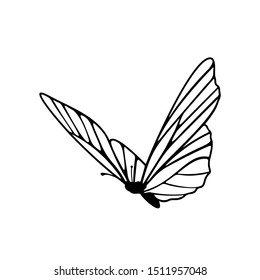 Butterfly Logo Design Vector Butterfly Logo Stock Vector (Royalty Free ...