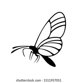 Butterfly logo design vector. Butterfly logo template illustration