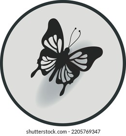 butterfly logo design with white background