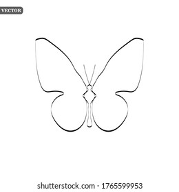 Butterfly logo graphic design concept. Editable butterfly element, can be used as logotype, icon, template in web and print