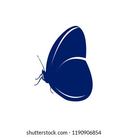 butterfly logo icon design template vector