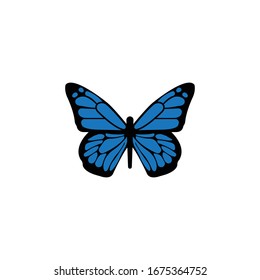 Butterfly logo icon vector illustration.