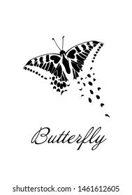 A butterfly logo made of patterns. Vector illustration