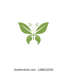 butterfly logo template