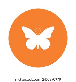 butterfly logo template design illustration