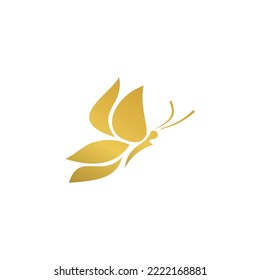 Butterfly logo template, in gold color. Vector illustration.