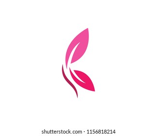 Butterfly  Logo Template Vector icon design