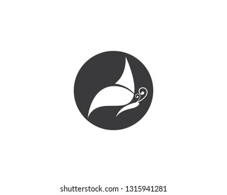 Butterfly logo template vector icon illustration