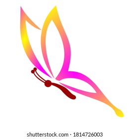 Butterfly Logo Template Vector icon design

