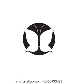 Butterfly Logo template Vector illustration