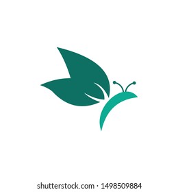 Butterfly logo template. Vector illustration. vevtor design 