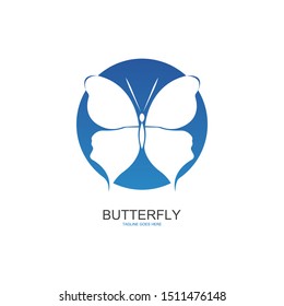 butterfly logo template vector illustration