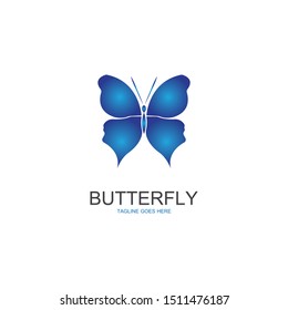 butterfly logo template vector illustration