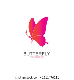 butterfly logo template vector illustration