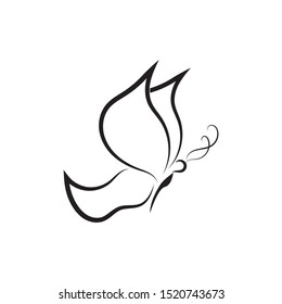 butterfly logo template vector illustration