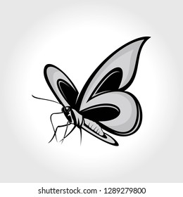 butterfly logo vector