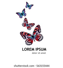 Butterfly logo. Vector