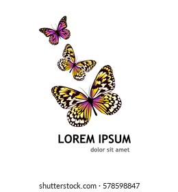 Butterfly logo. Vector