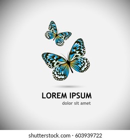 Butterfly logo. Vector