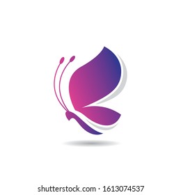 Butterfly logo vector icon illustration design