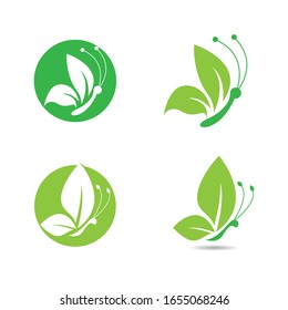Diseño de ilustración vectorial del logotipo de mariposa