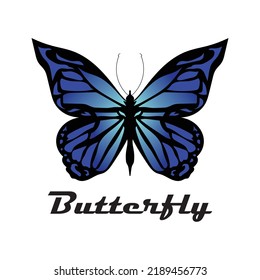 Vector de logotipo de mariposa, ilustración de mariposa