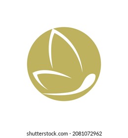Butterfly logo Vector illustration design template