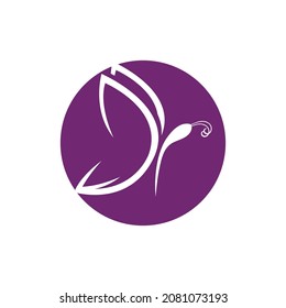 Logo de la mariposa Modelo de diseño de ilustración del vector