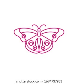 butterfly logo vector line icon drawing shape illustration