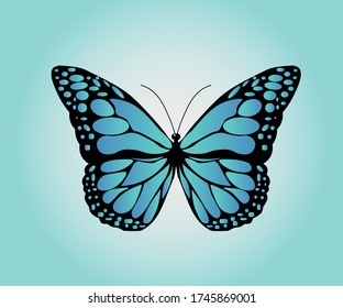 Butterfly logo vector line outline mono line icon illustration.