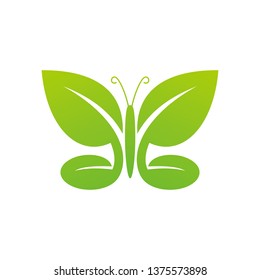 butterfly logo vector template