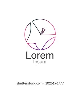 Butterfly logo,Vector logo template