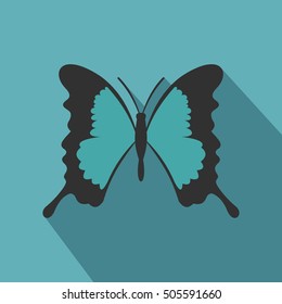 Butterfly with long wings icon. Flat illustration of butterfly with long wings vector icon for web