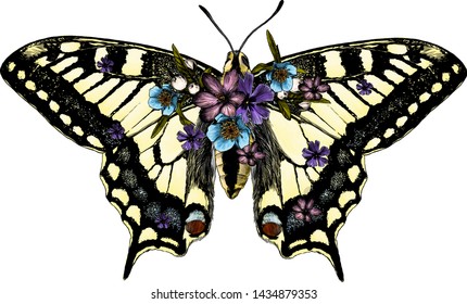 butterfly Machaon with open wings decorated with flowers and leaves symmetrically, sketch vector graphic style color illustration on white background