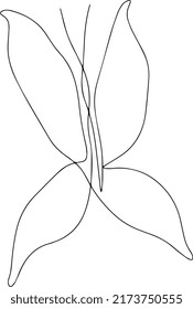 Butterfly made in minimalist