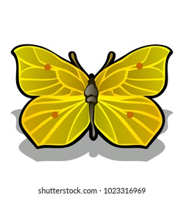 The butterfly is made from the pulp of ripe lemon isolated on white background. Vector cartoon close-up illustration.