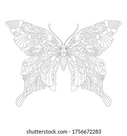 Butterfly Mandala Ornamental for Adult Coloring Page