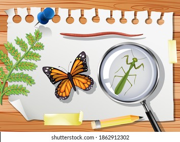 Butterfly with mantis and magnifying glass on table close up illustration