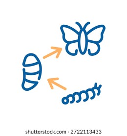 Icono de la metamorfosis de la mariposa que explica visualmente el ciclo de vida, se transforma de oruga a pupa y finalmente emerge como una mariposa. Icono de línea delgada, trazo editable