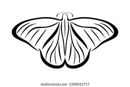 Butterfly in minimal style for engraving, tattoo and logo. Black outline of Monarch Butterfly isolated on white background. Animal vector illustration