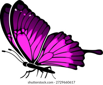 Mariposa con un reflejo de espejo, elemento para el diseño, Ilustración vectorial