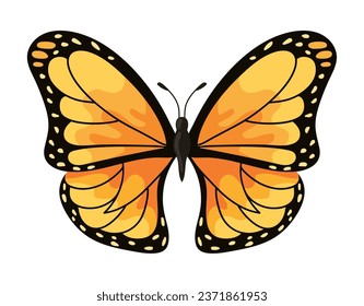 butterfly monarca illustration isolated vector