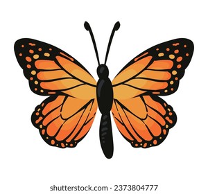 butterfly monarca illustration isolated vector