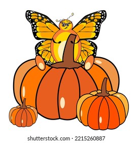 Butterfly monarch cartoon character  sitting on the pumpkin vector illustration 