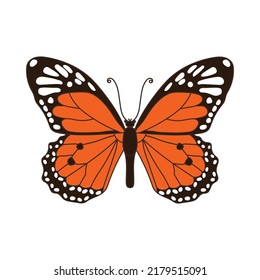 Monarca de mariposa. Danaus plexippus. Esbozar ilustración vectorial aislada en fondo blanco. Imagen de color de una polilla.