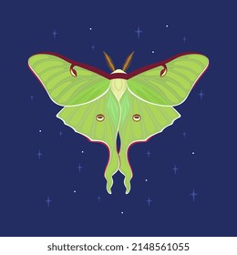 Butterfly Moon moth. Vector illustration on the background of the night sky with stars.